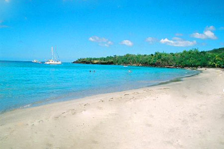 Anse Cochon Marine Reserve